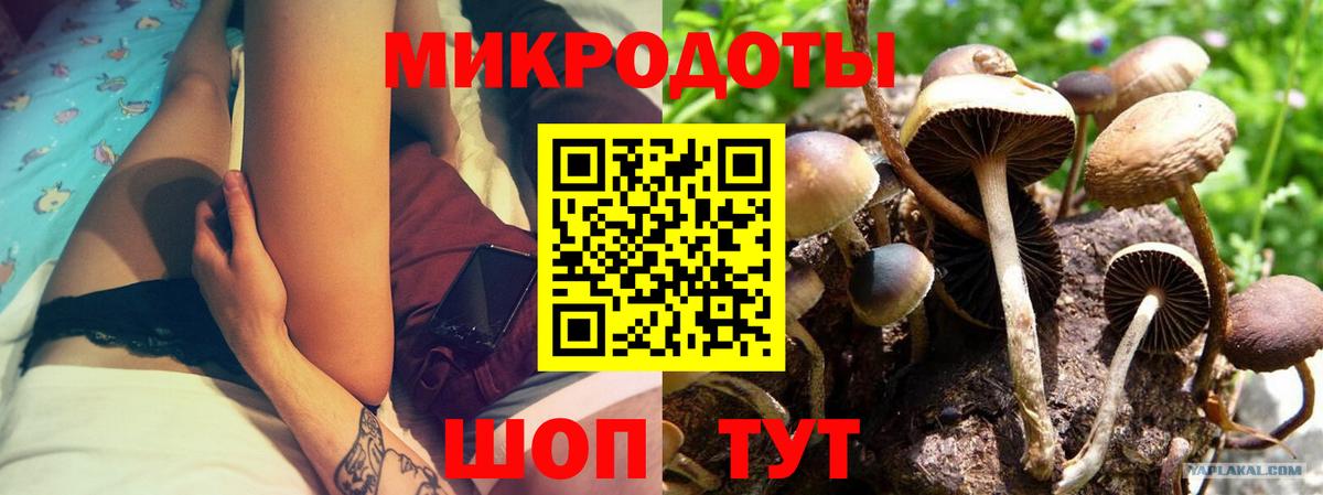 Галлюциногенные грибы Magic Shrooms  Псилоцибиновые грибы мухоморы  купить наркотик  Усть-Илимск  Вход с VPN 