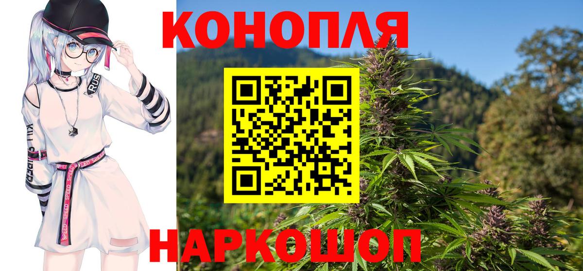 Конопля SATIVA & INDICA  Канабис план  Усть-Илимск  Конопля планчик  Вход с VPN 